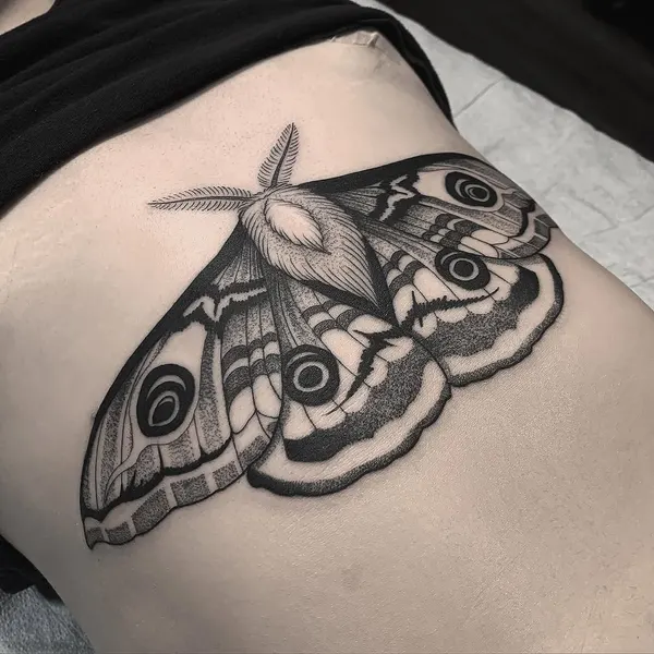Animal, Nature