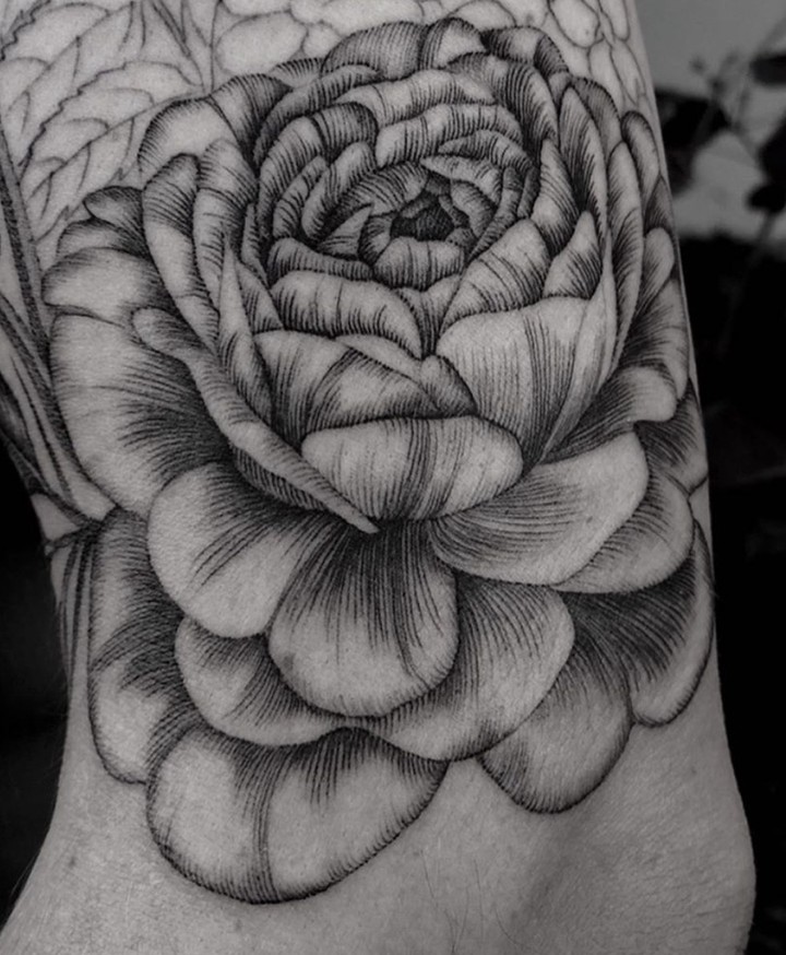 Flower, Rose