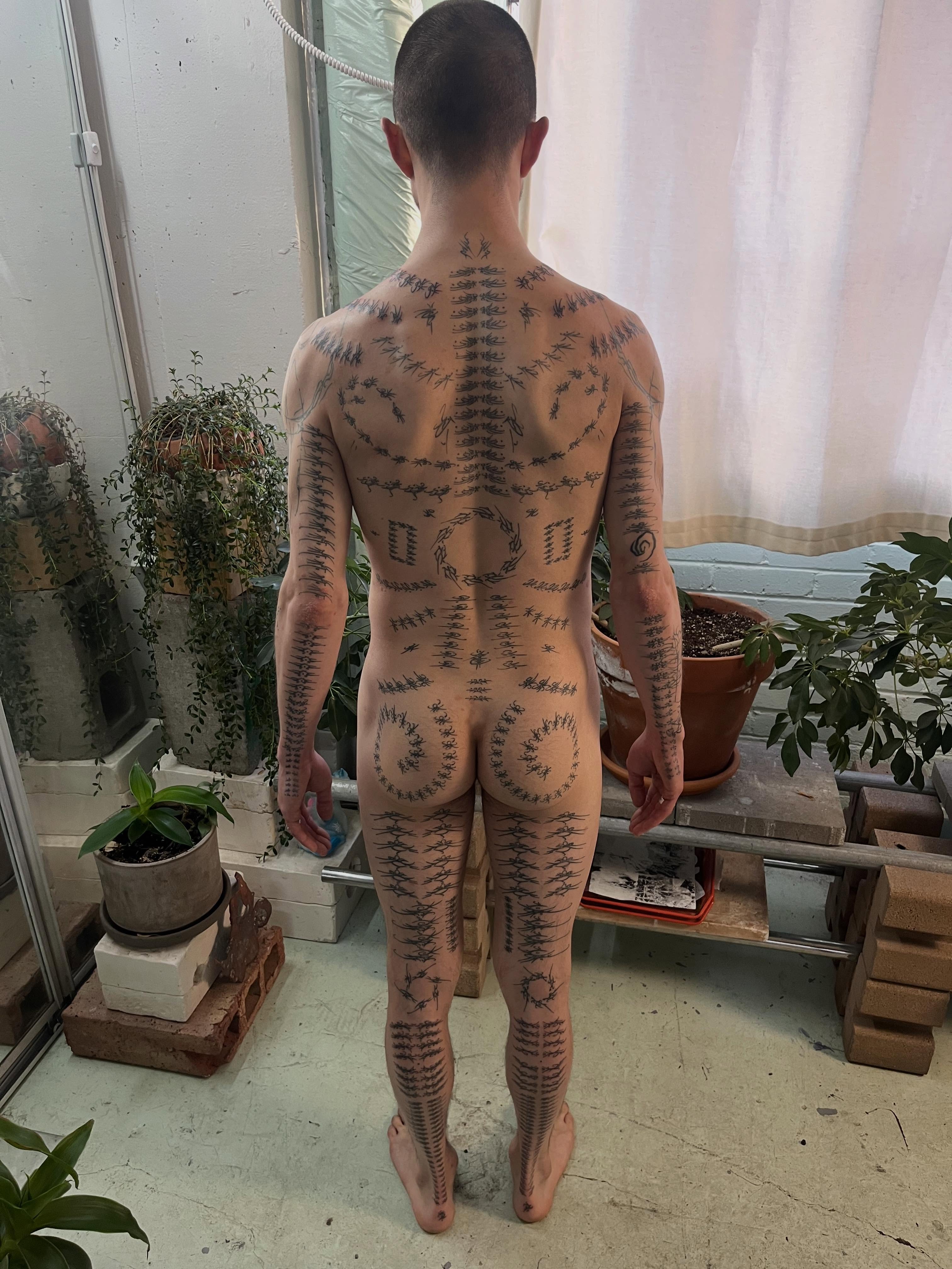 avant__________gardener