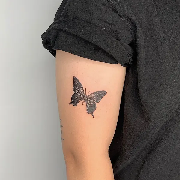Animal, Nature