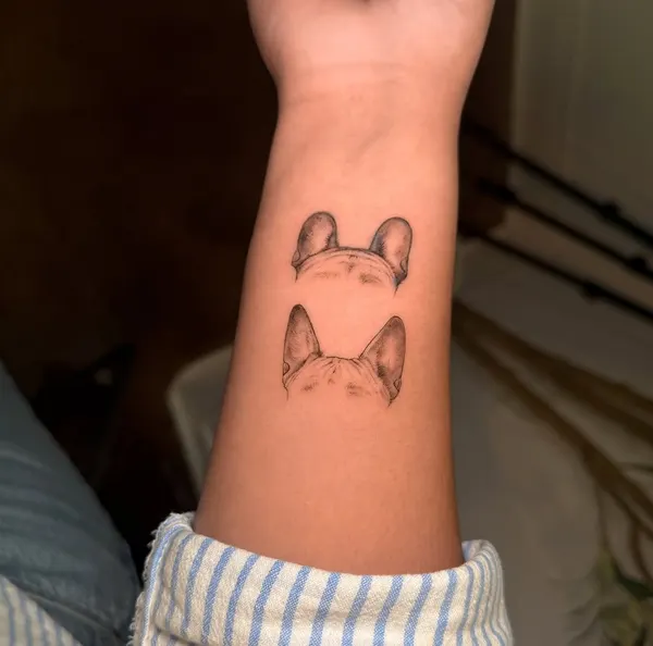 Animal