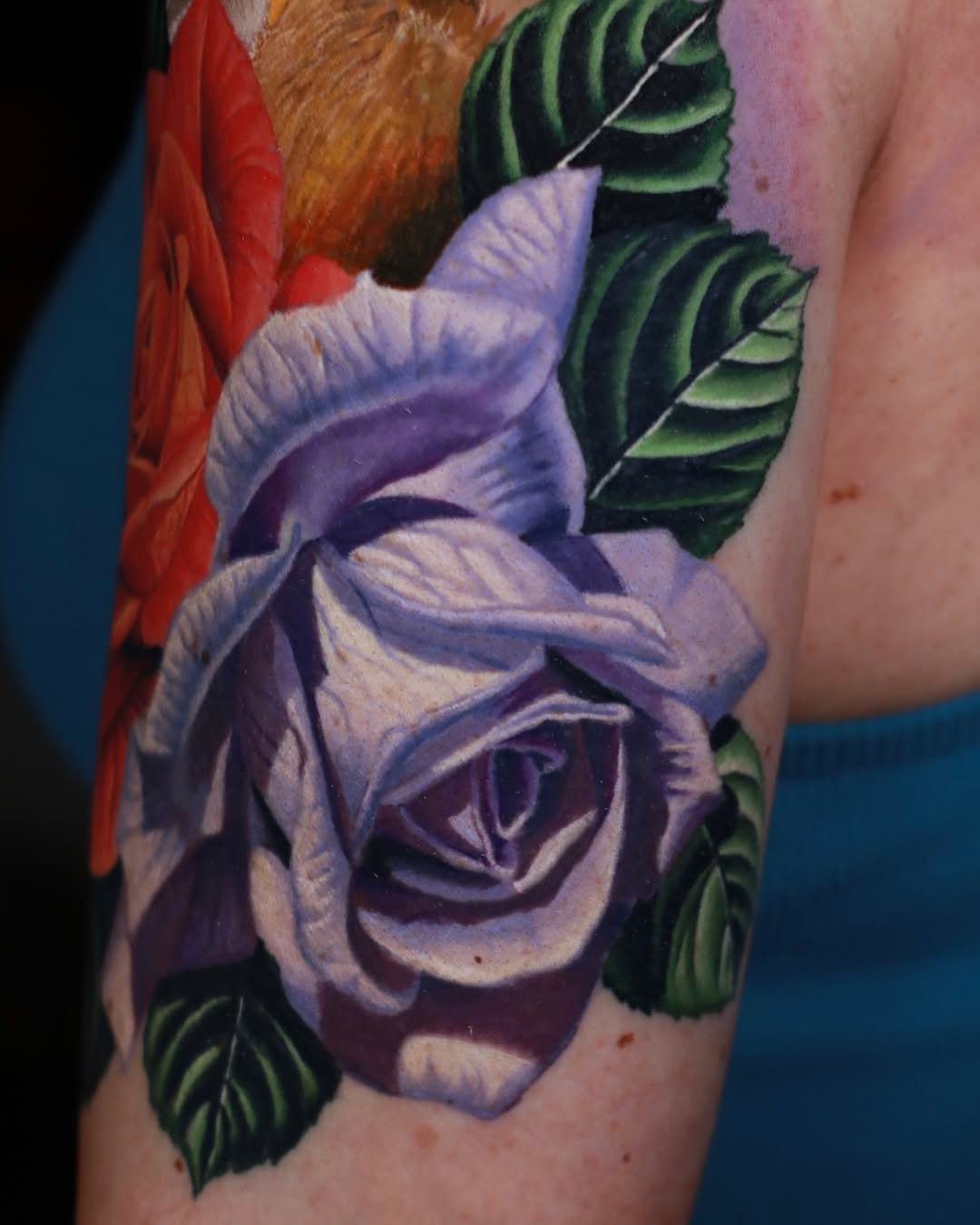 Rose, Flower