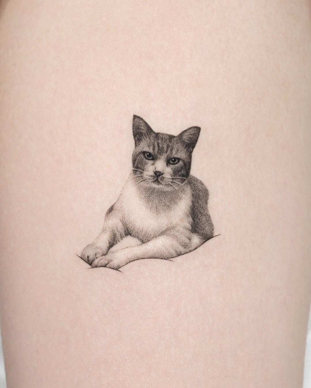 dorok.tattoo