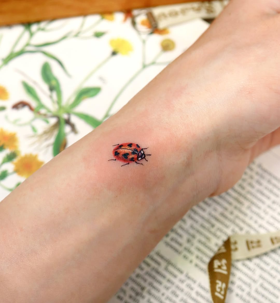 Rose, Flower