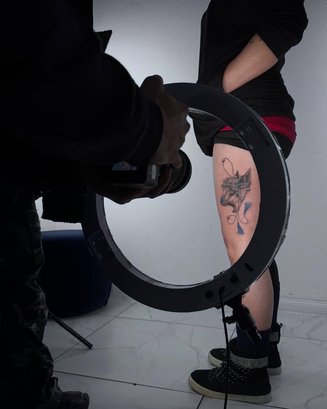 tatuaggidiporcellana