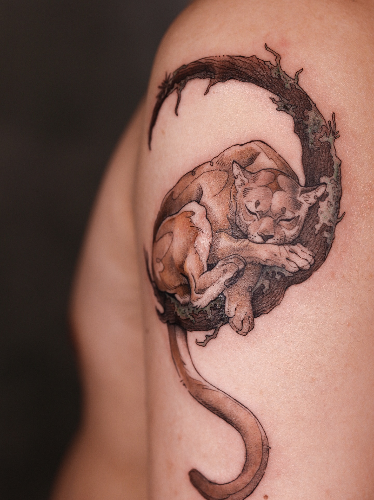 Tiger