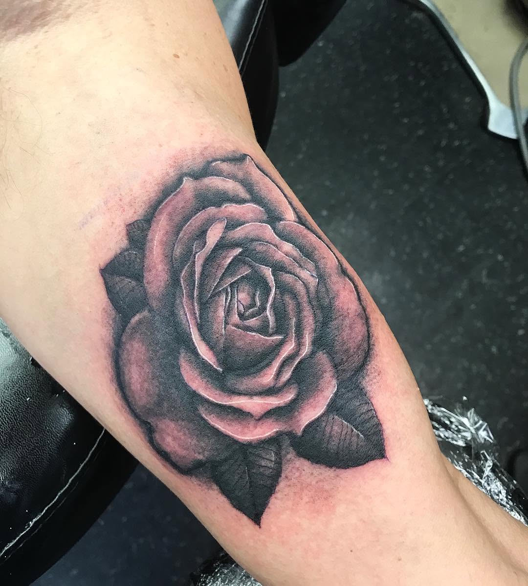 Flower, Rose