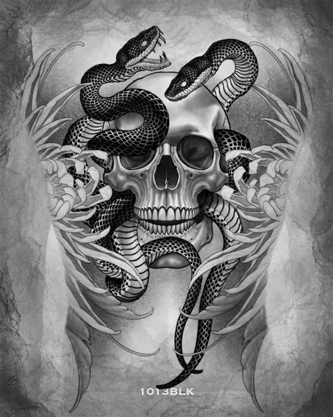 Skull, Snake, Animal