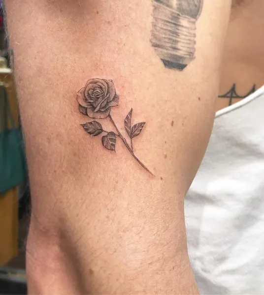 Flower, Rose