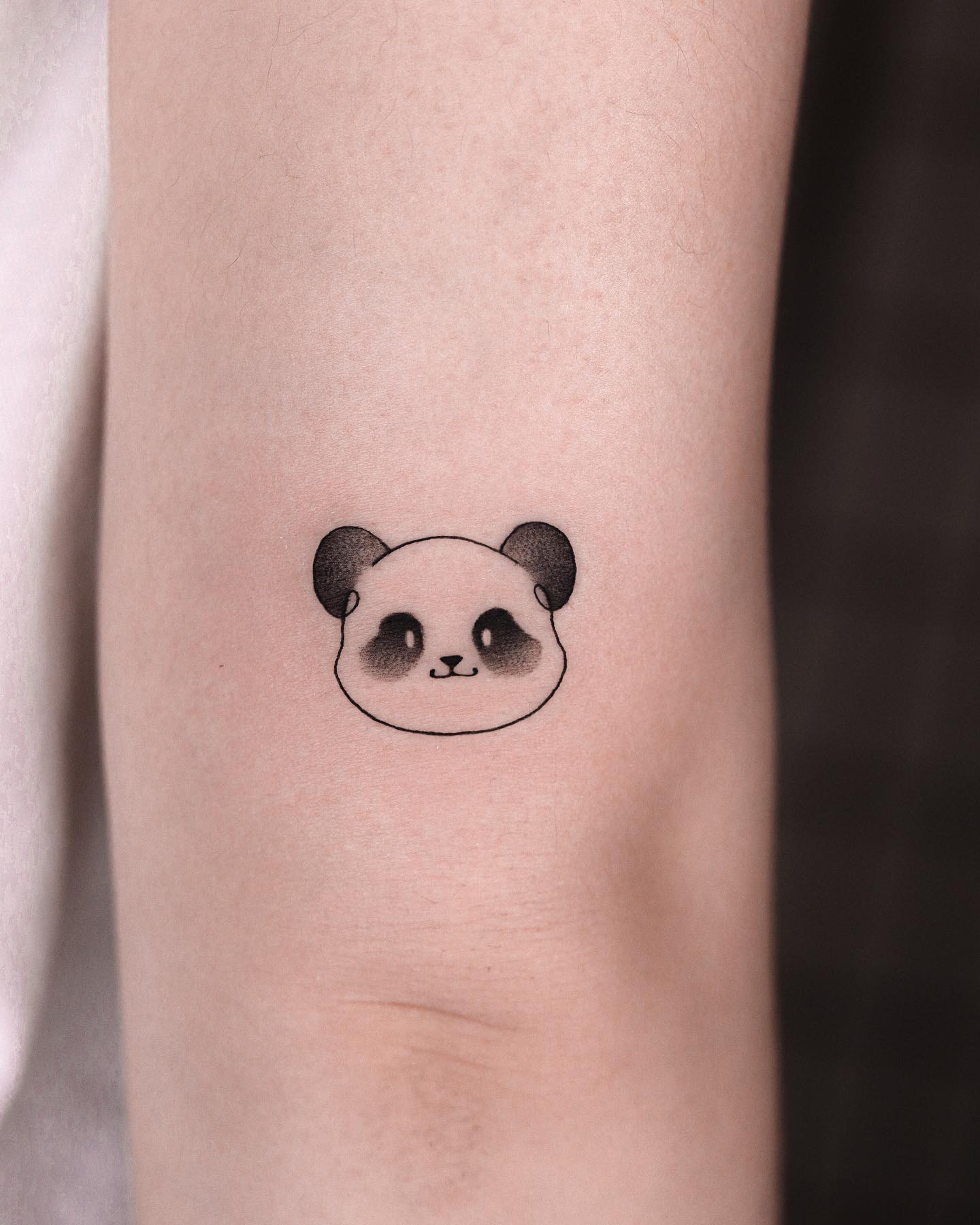 판다, Animal, Mini