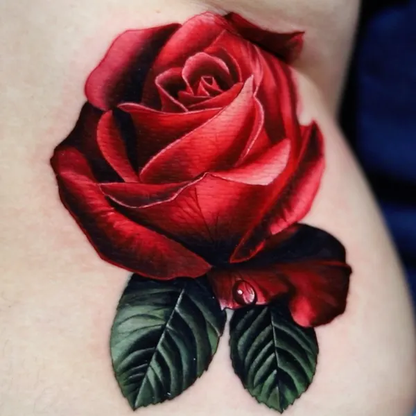 Flower, Rose, Nature