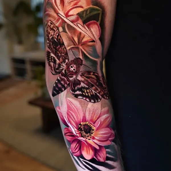 Animal, Nature, Flower