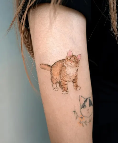 soltattoo