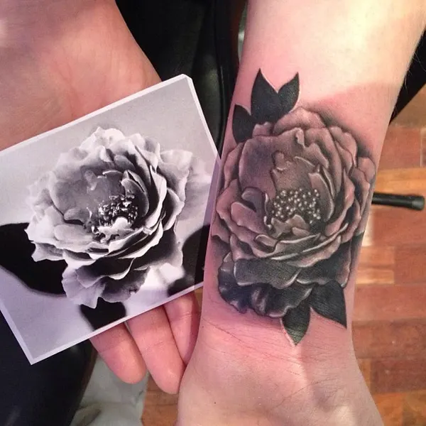 Flower, Rose