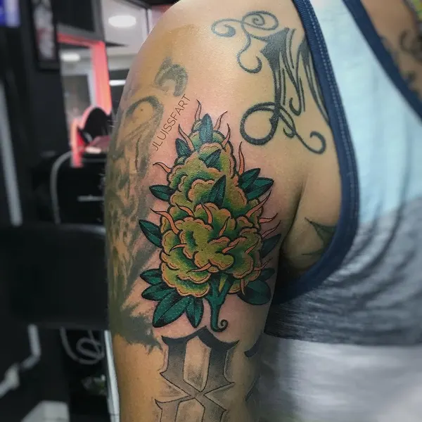Flower, Rose, Nature