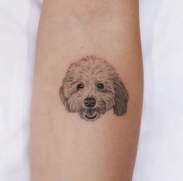 Animal