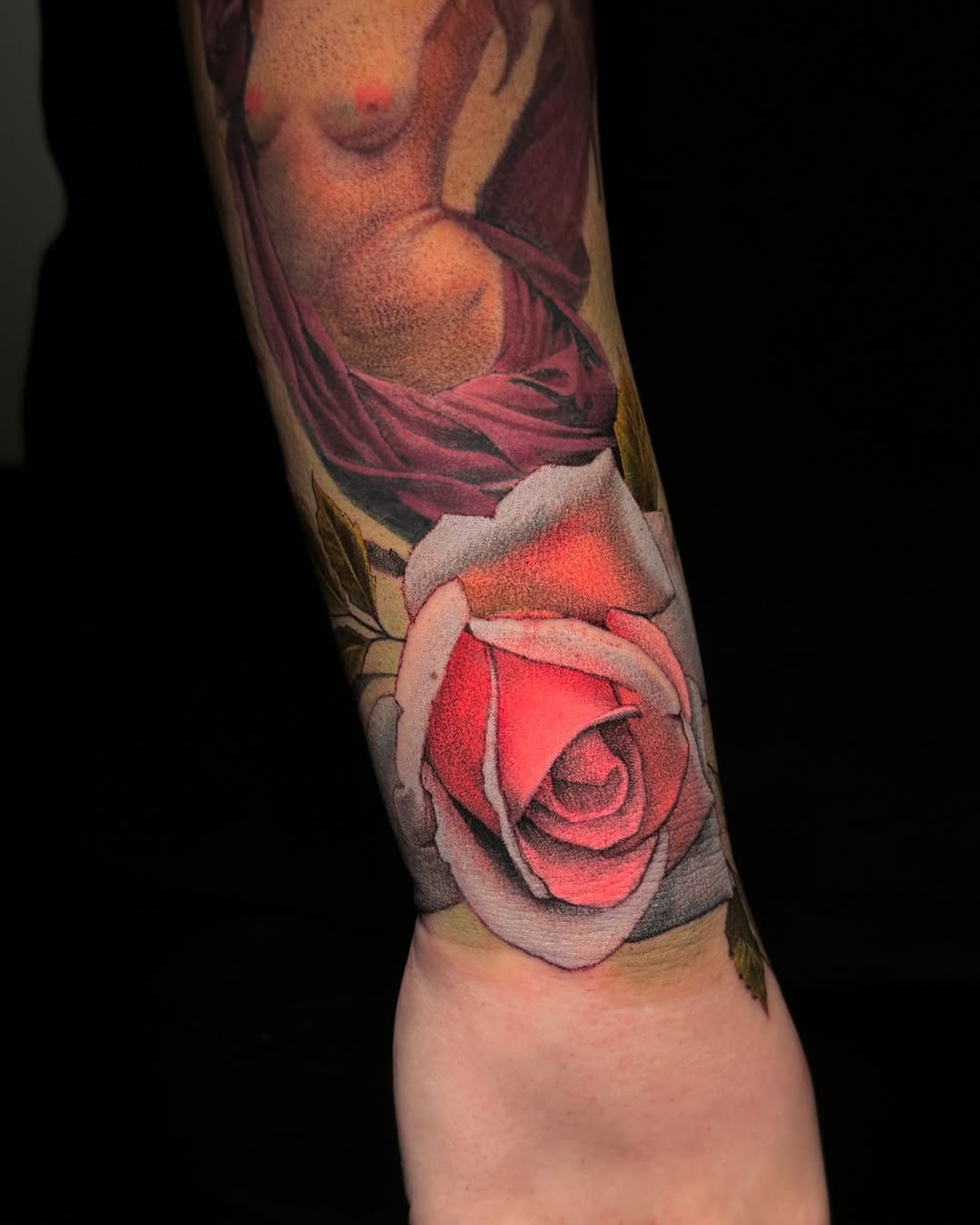 Flower, Rose