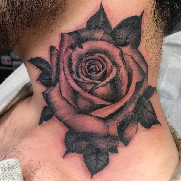 Flower, Rose, Nature