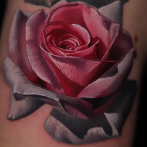 Flower, Rose