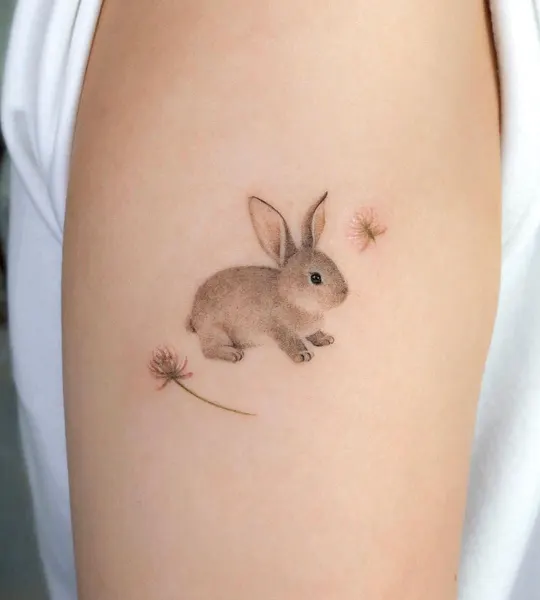 토끼, Animal