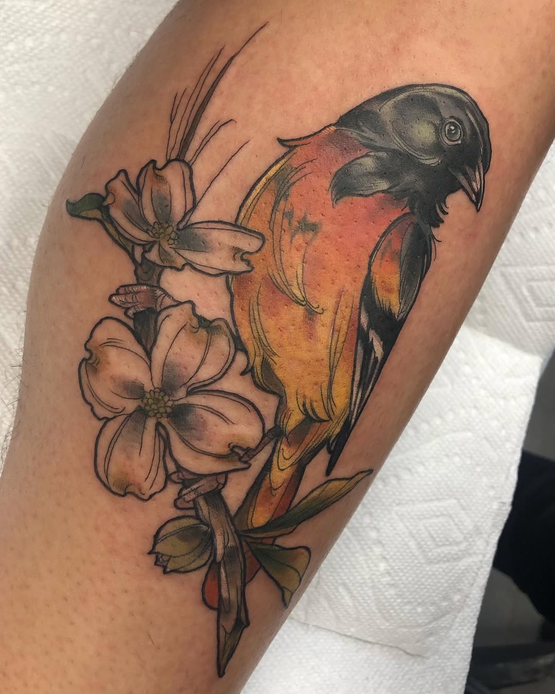 Animal, Flower