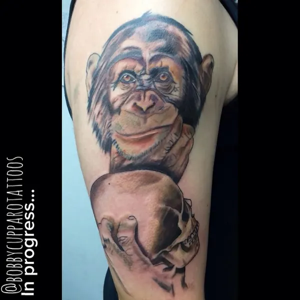 Tiger, Animal