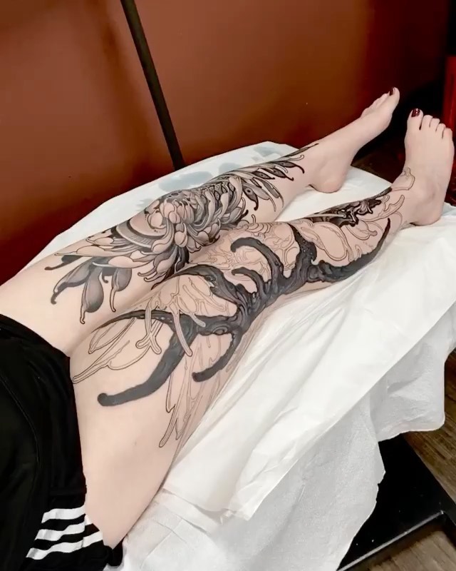 Dragon, Animal