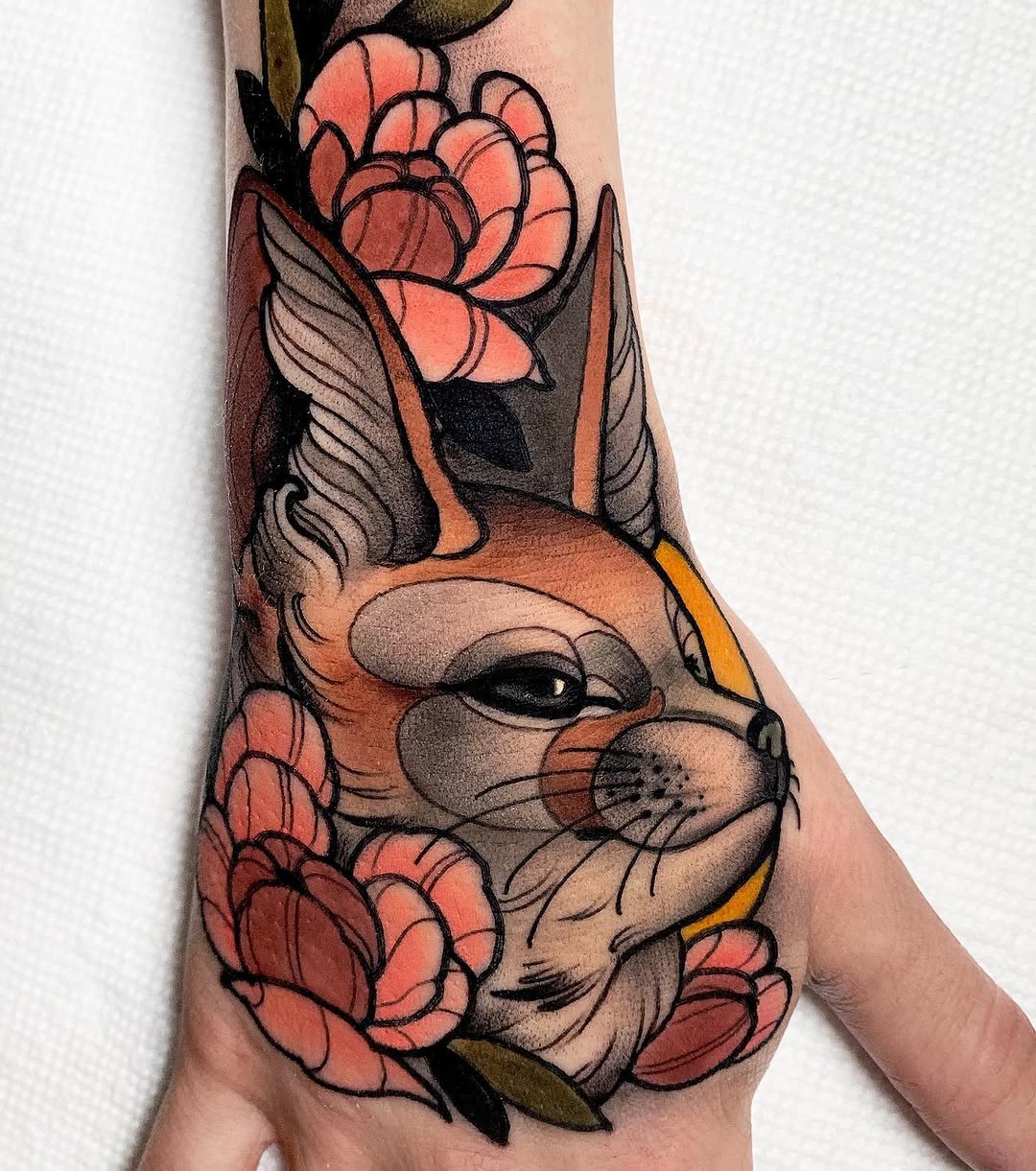Animal