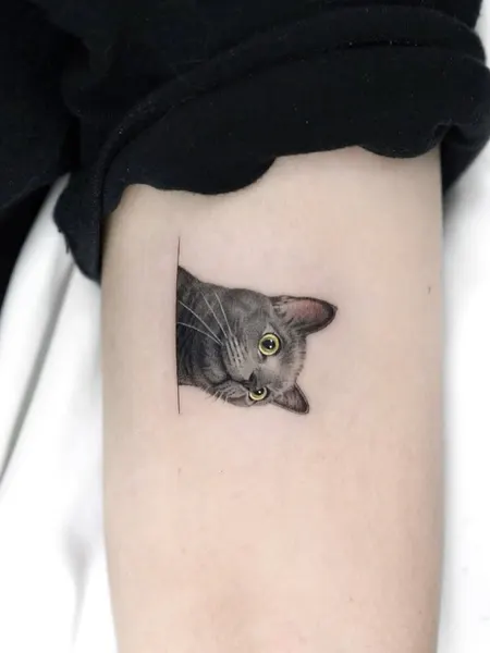 tatti_seoul