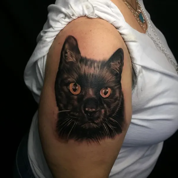 Animal