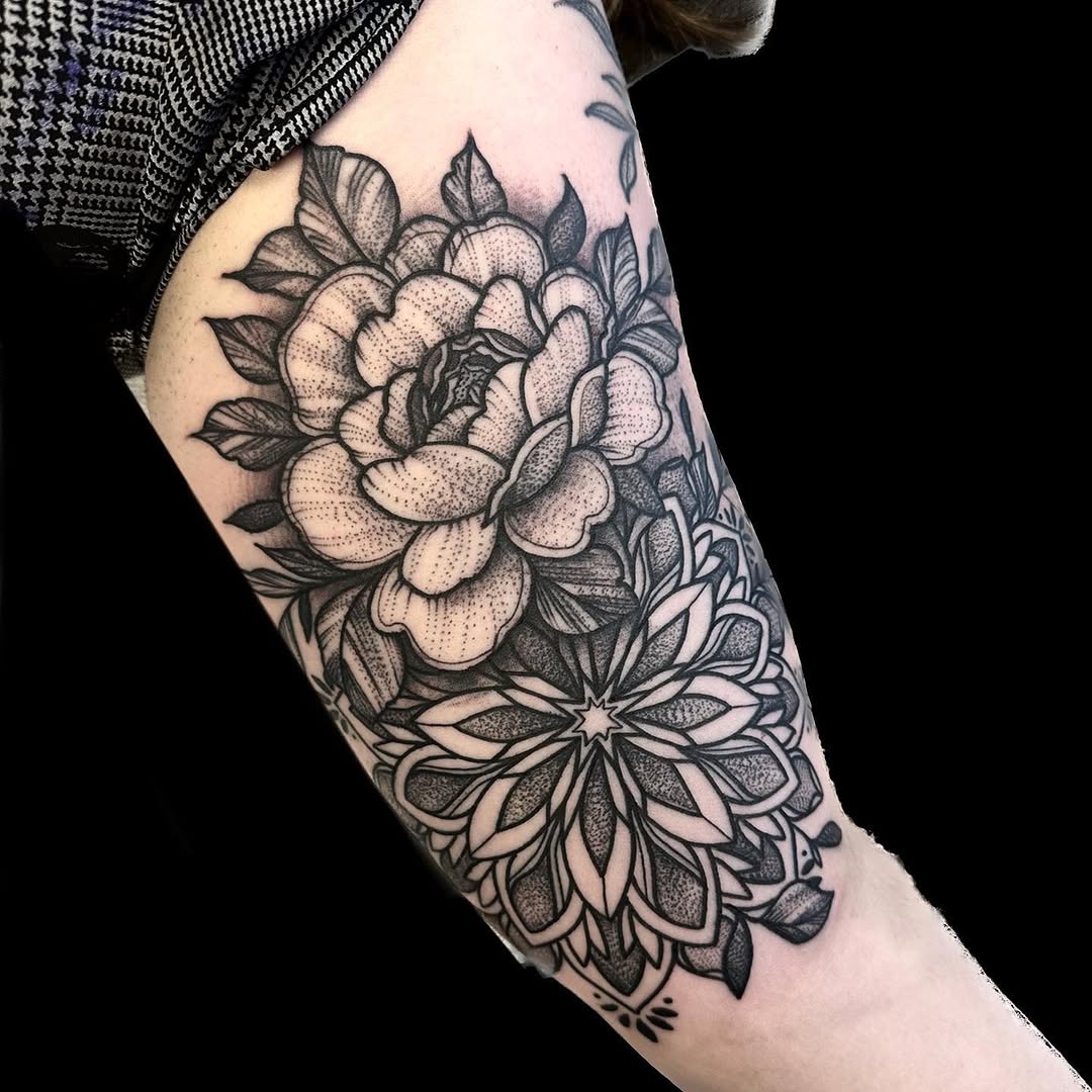 Flower, Rose, Nature