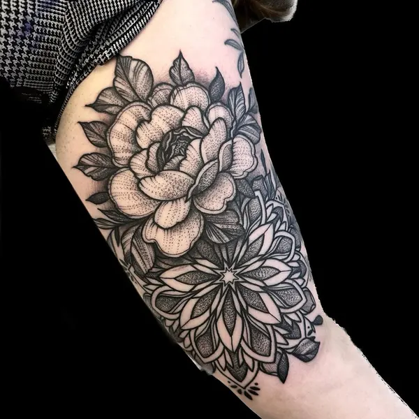 Flower, Rose, Nature
