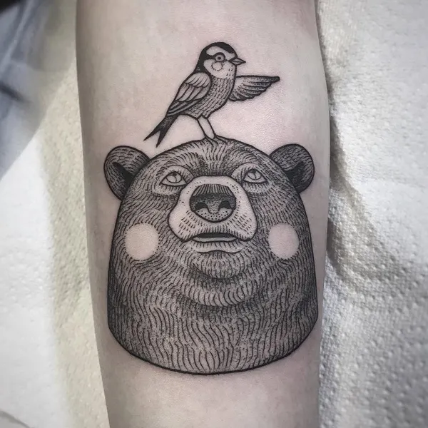 곰, Animal, 판다, 나무늘보, 코알라
