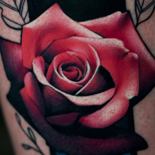 Flower, Rose