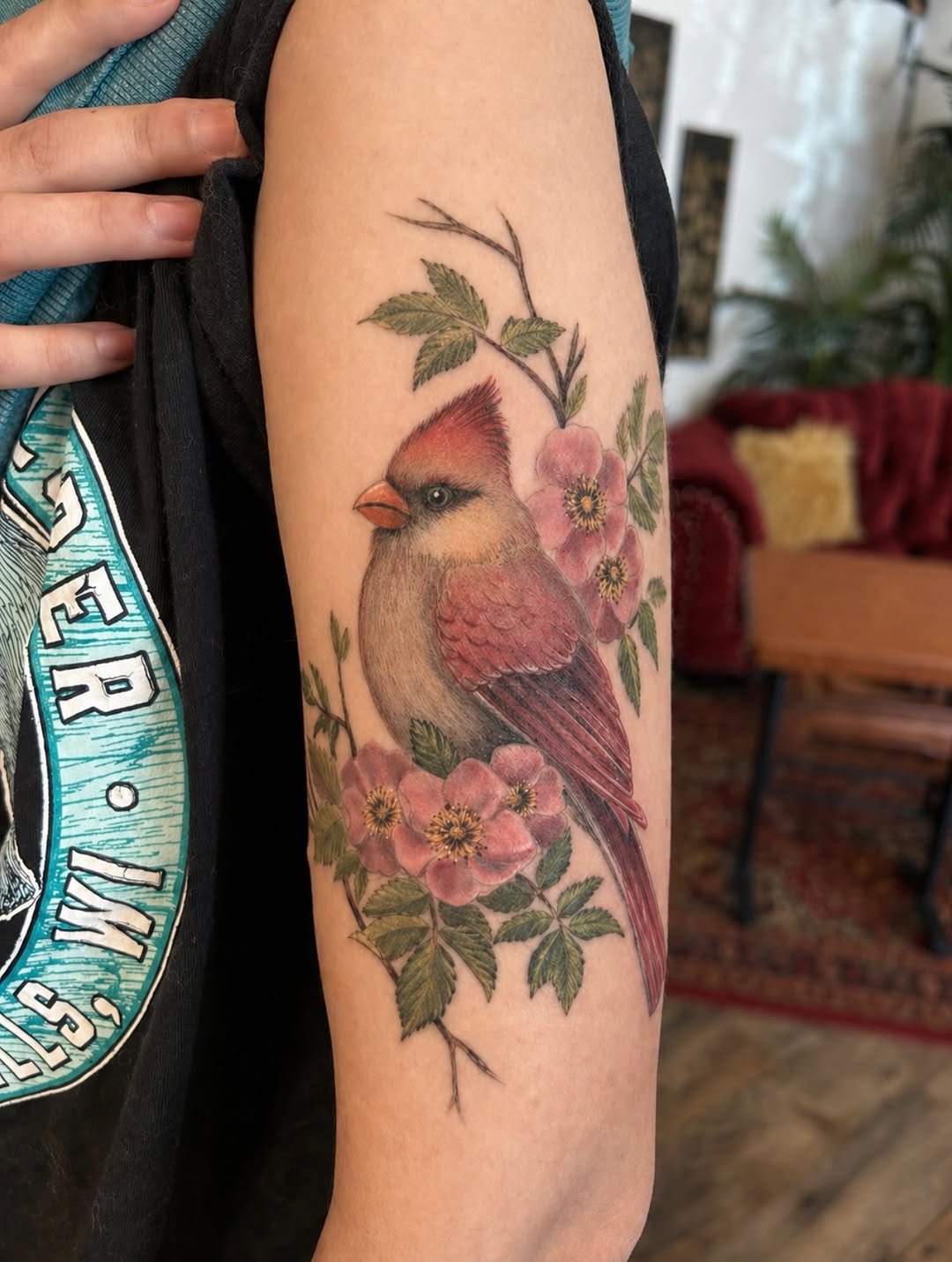 Flower, Animal, Nature