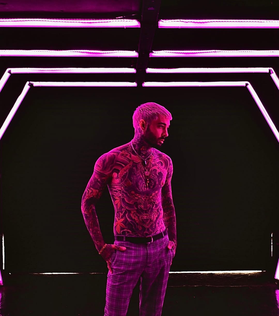 romeolacoste