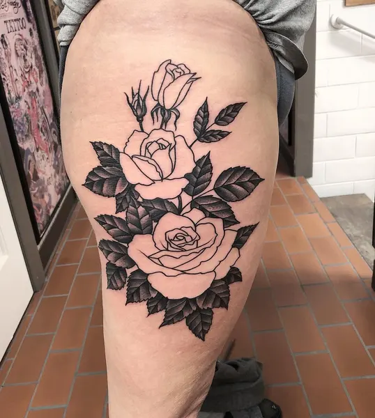 Flower, Rose, Nature