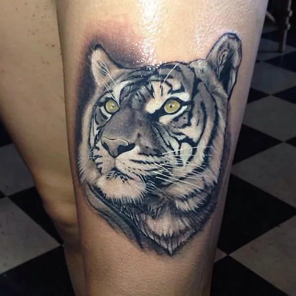 Tiger