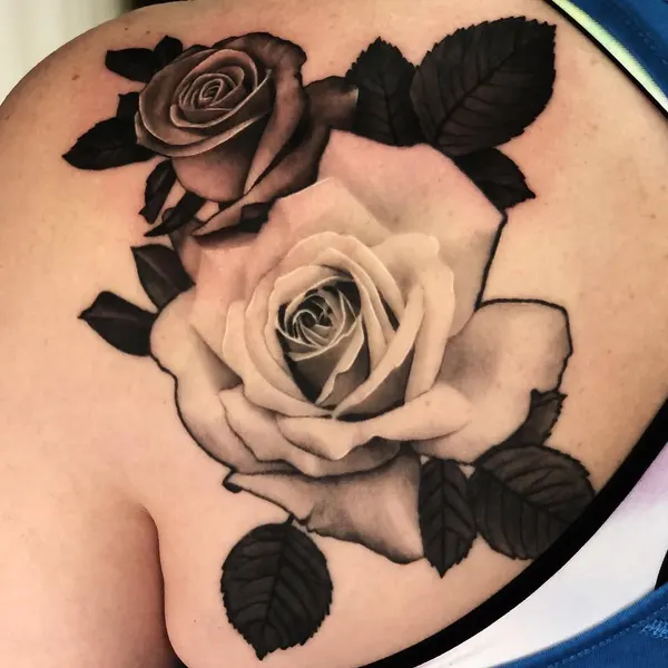 Flower, Rose, Nature