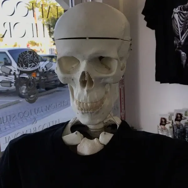 javi_tattooedtheory