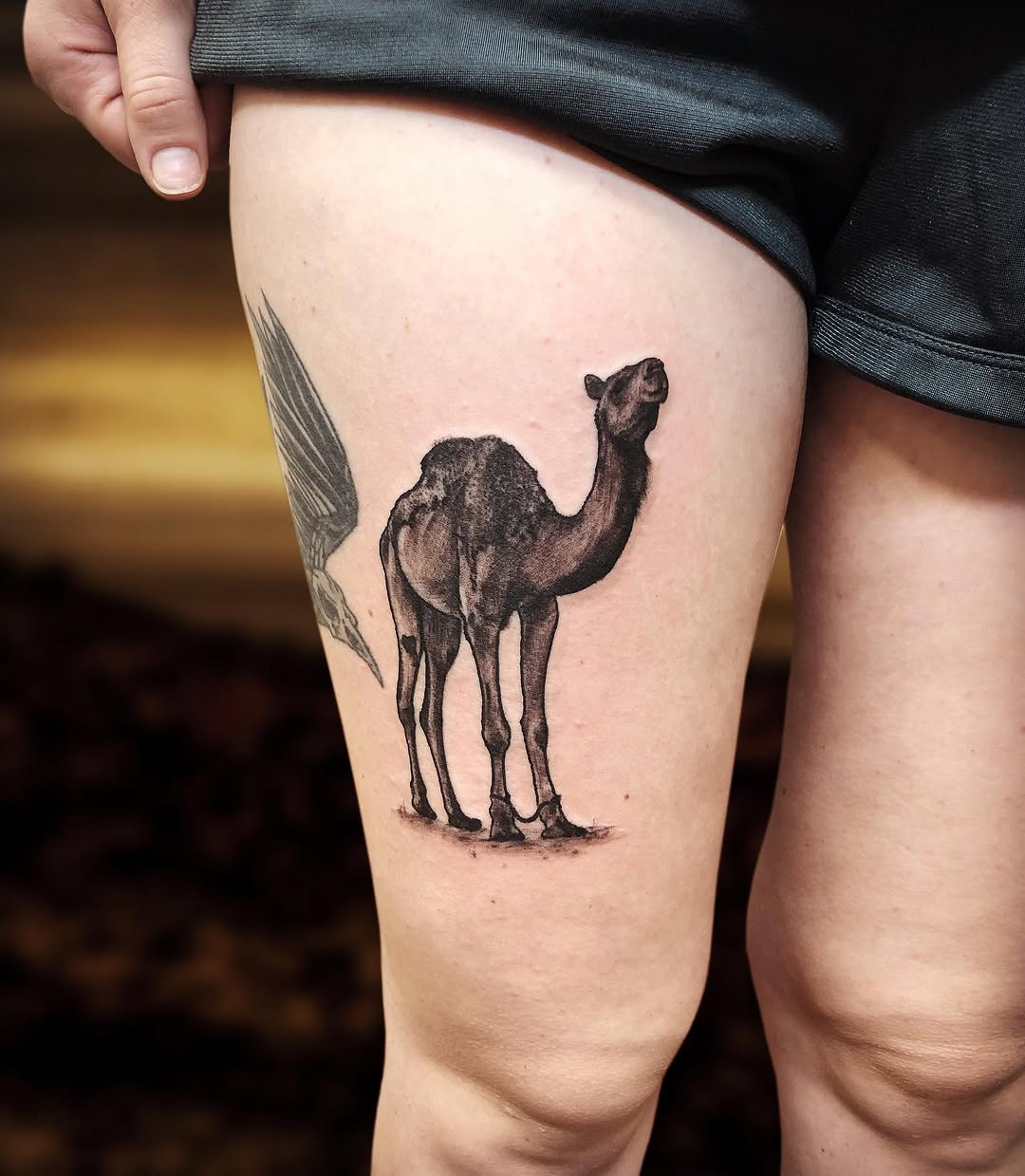 timbecktattoos