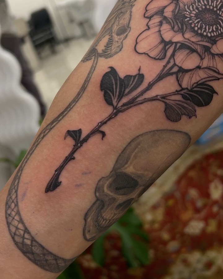Flower, Rose