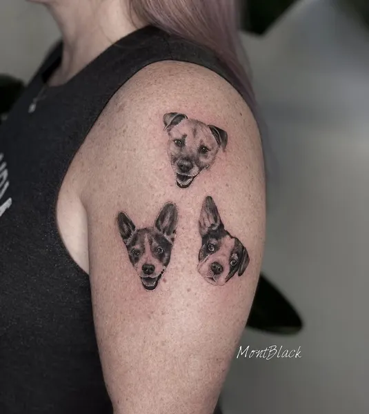Animal