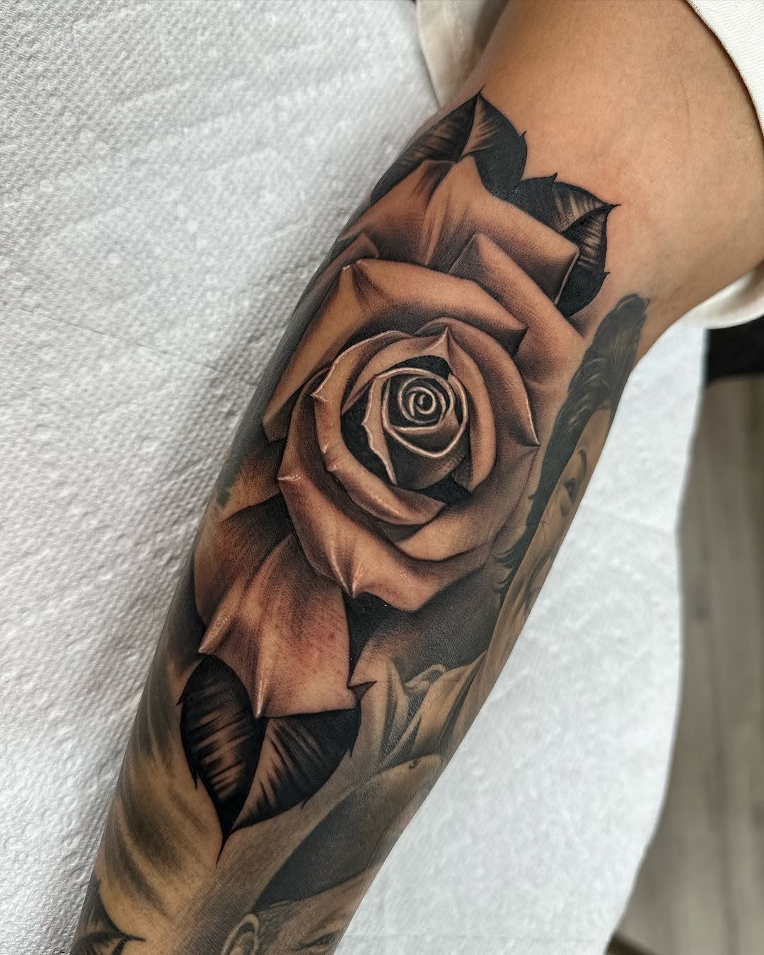 Flower, Rose