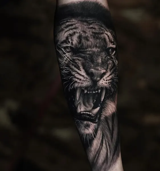 Tiger