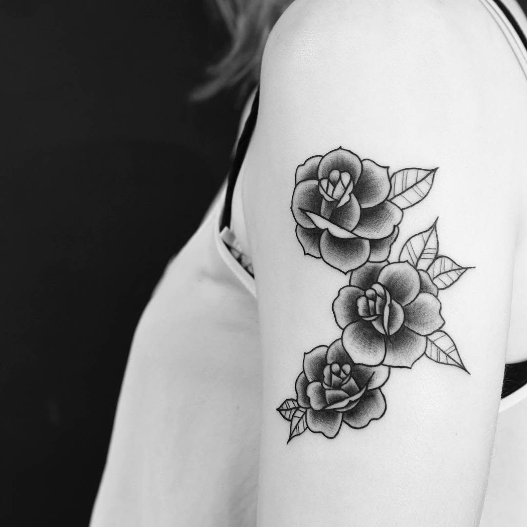 Rose, Flower, Nature