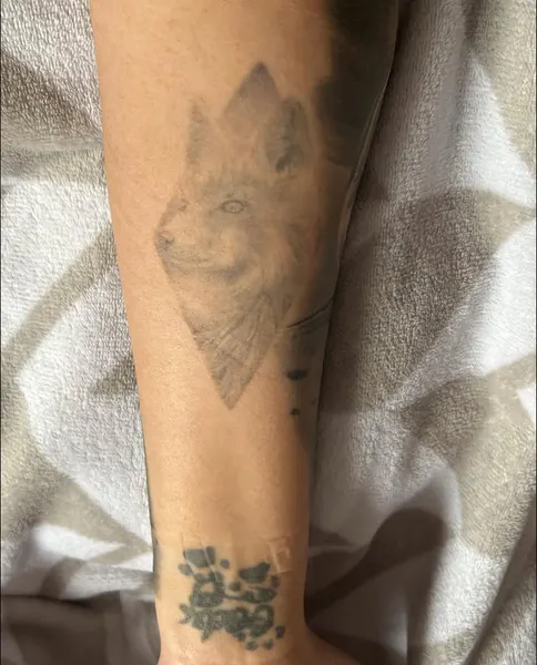 Animal