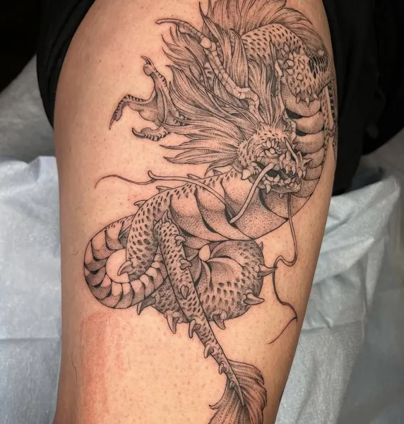 Dragon