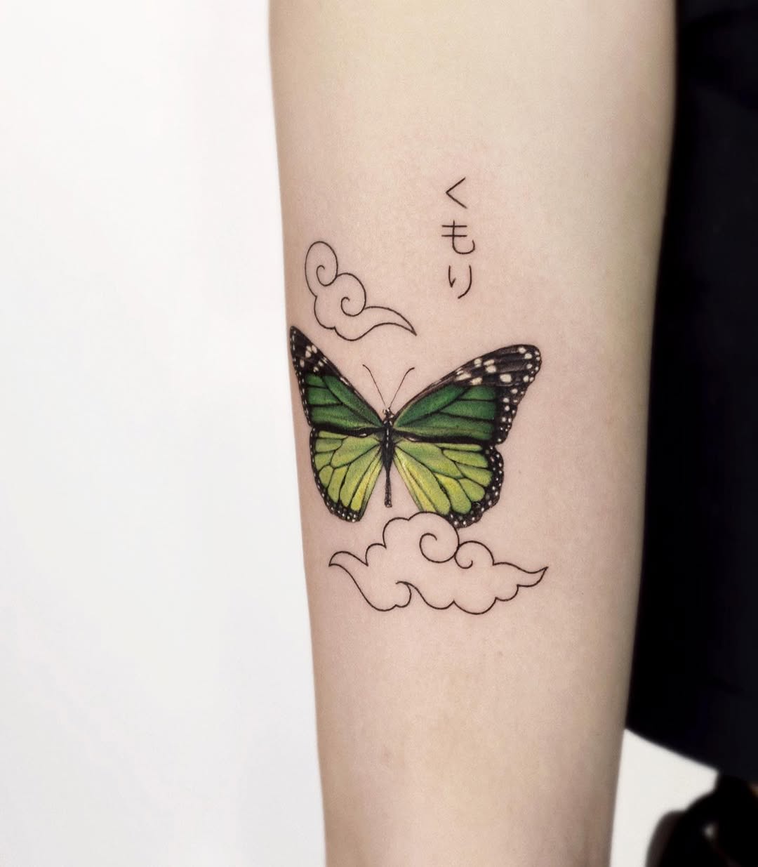 Animal, Nature, 나비