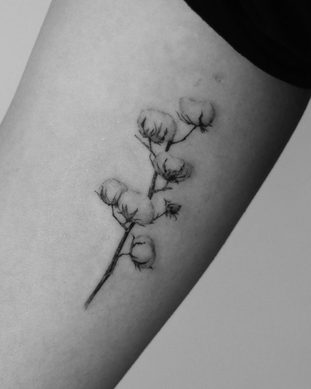 40.tatt